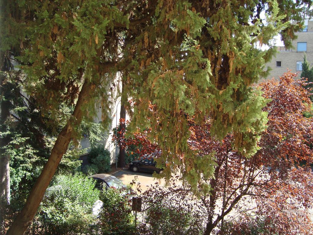 Villa Sciarra Roma Cameră foto